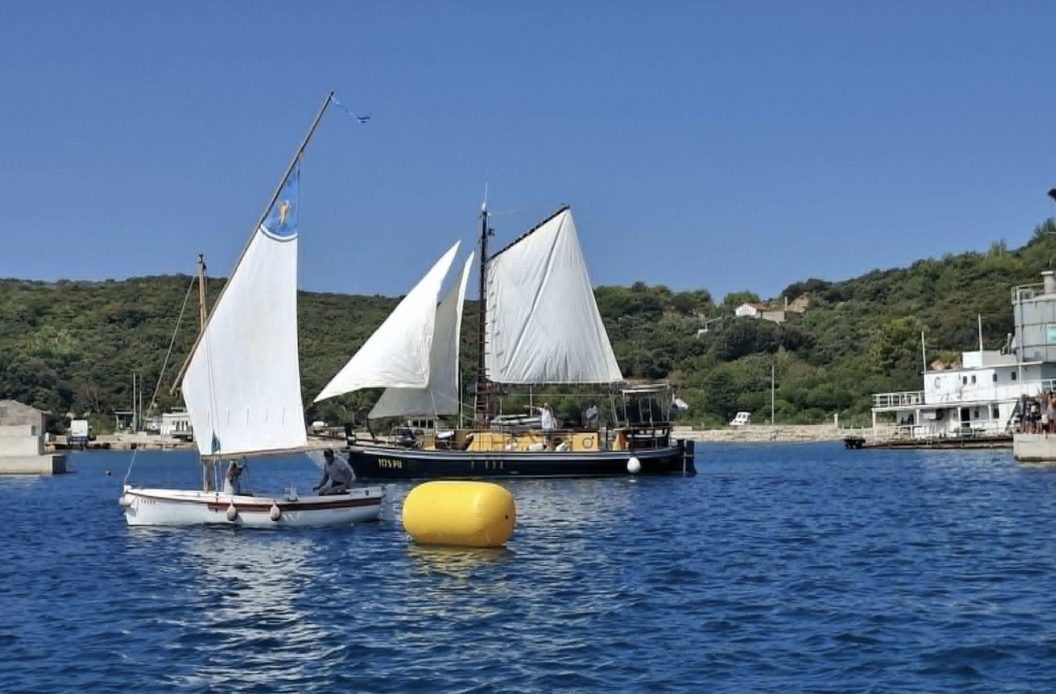 Martinska regata 2026. - SK Mandrač-Tivoli 8